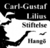Logo för Carl-Gustaf Lilius stiftelse sr